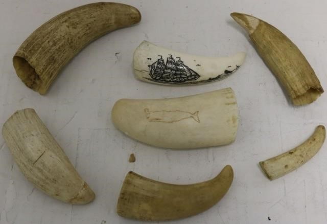 Appraisal: MISCELLANEOUS WHALE'S TEETH ONE HAS WHALINGSCENE ONE DEPICTS A SPERM