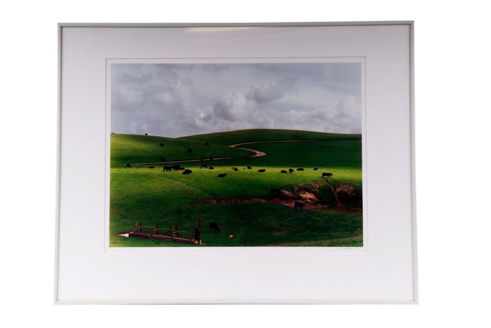 Appraisal: COLE WESTON PALO CORONA RANCH CARMEL circa Cibachrome print x