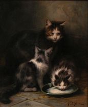 Appraisal: Jules LeRoy French - Cat Kittens oil on canvas Best