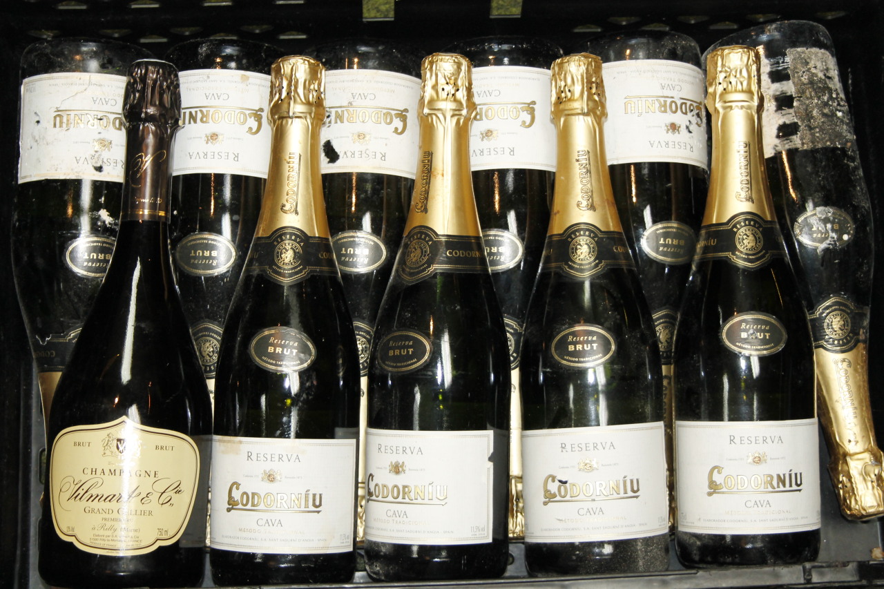 Appraisal: Various champagne to include Grande Cellier Brut ml vol and