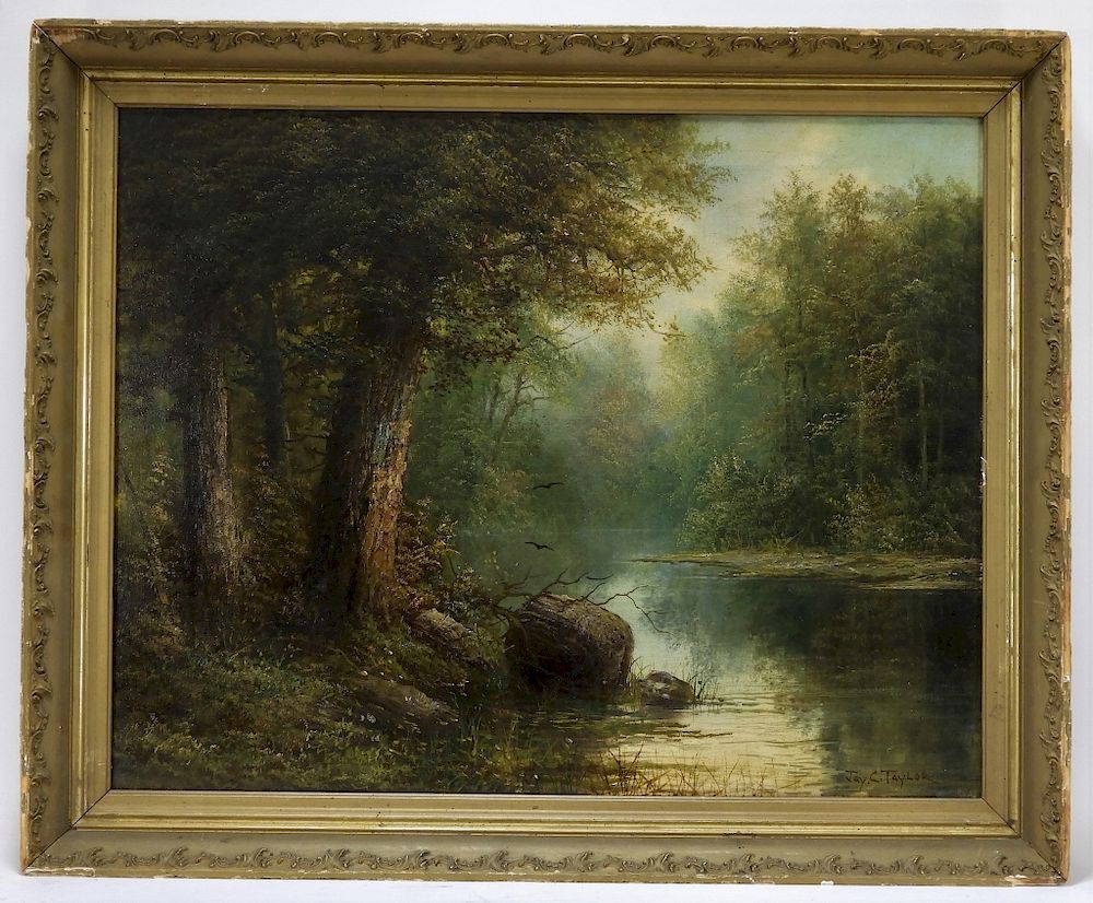 Appraisal: C Jay C Taylor Illuminated Forest O C Painting United