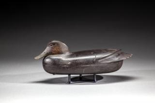 Appraisal: Black Duck by Robert Freirich Black DuckRobert Freirich - Tullytown