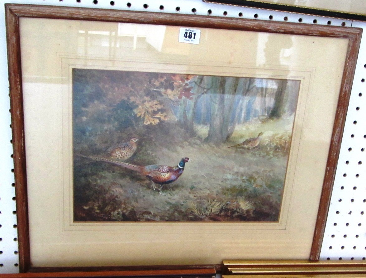 Appraisal: Roland Green - Pheasants in autumn watercolour signed cm x