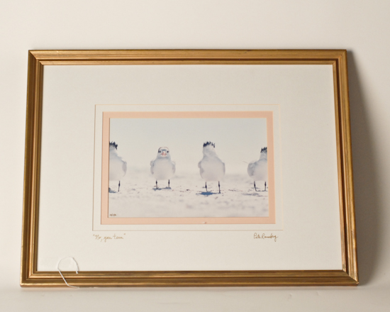 Appraisal: Pete Ramberg No You Tern Print signed and titled on