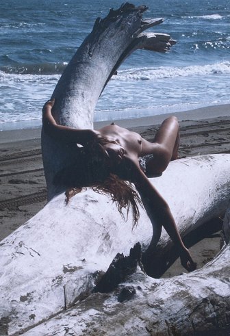 Appraisal: CLERGUE Lucien French - Nude at Beach on driftwood Color