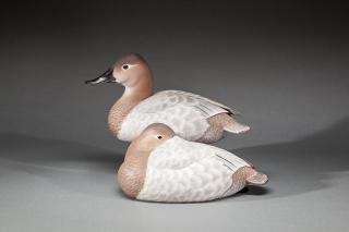 Appraisal: Two Canvasback Hens Randy Tull b Hayward WI and An