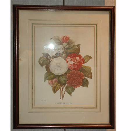 Appraisal: After Pierre-Joseph Redoute FLOWER STUDIES Three color photorepros T w