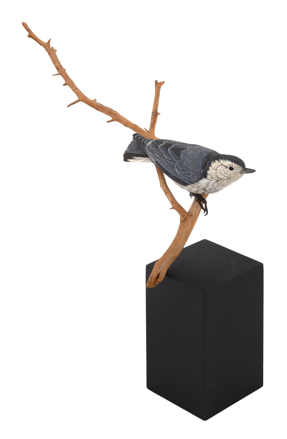 Appraisal: EUGENE MORELLI AND JOAN ZYGMUNT LIFE-SIZE NUTHATCH Montana Contemporary Perched