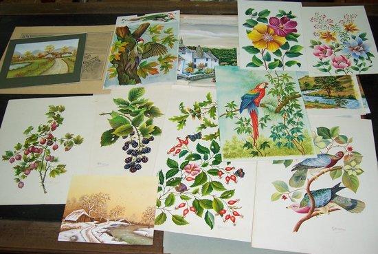 Appraisal: G L HumphriesBotanical Studiesa folio of approximately twenty watercolours including