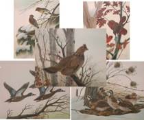 Appraisal: John Ruthven American b The Early Bird Series Set of