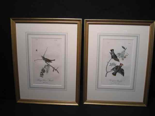 Appraisal: Two framed Audubon hand colored lithographs framed matted and under