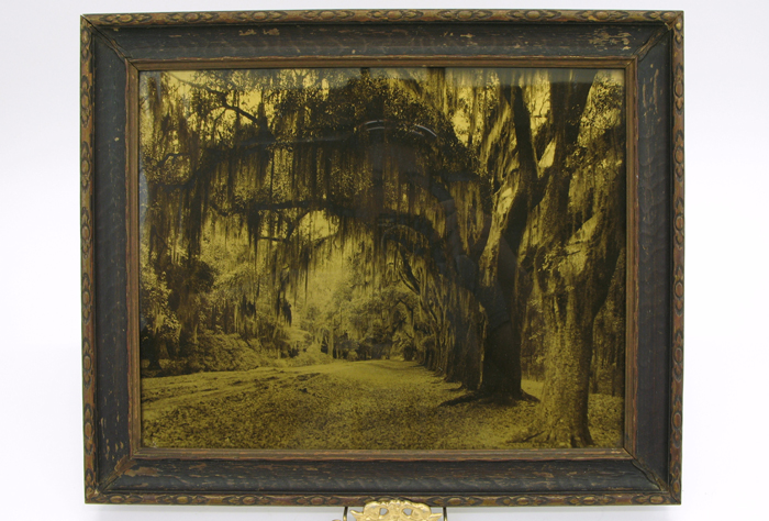 Appraisal: R H LESESNE OROTONE titled Arch Way of Oaks Daytona