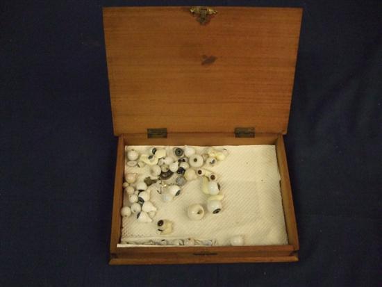 Appraisal: Collection of glass eyes in display case