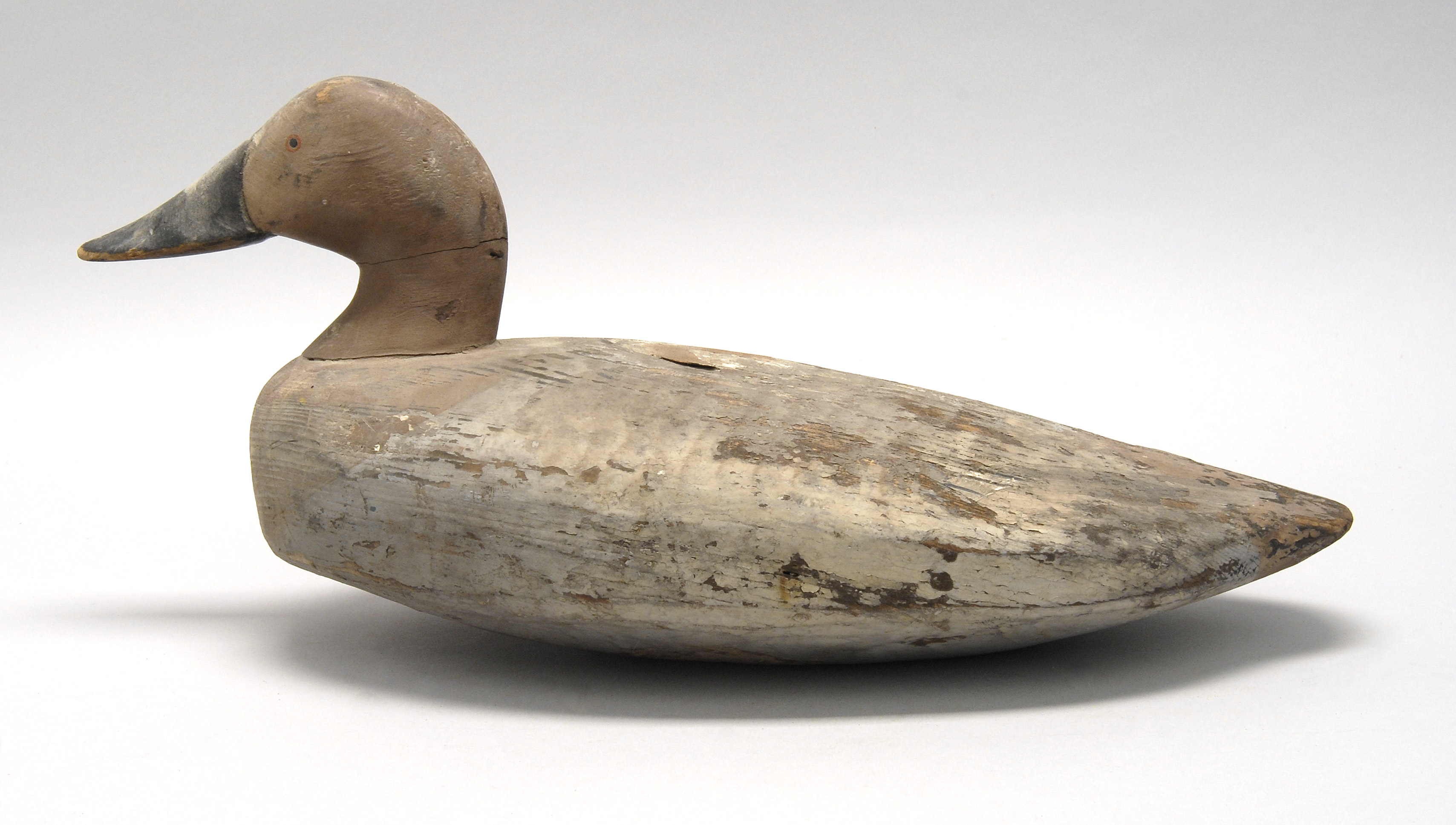 Appraisal: CANVASBACK HEN DECOY From the Chesapeake Bay Maker unknown Some