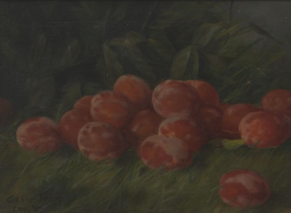 Appraisal: ADAM LEHR AMERICAN - x Plums Oil on canvas mounted