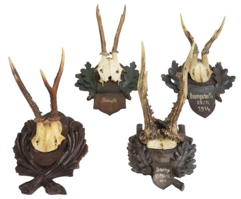 Appraisal: lot of German Black Forest deer antler trophy mounts early