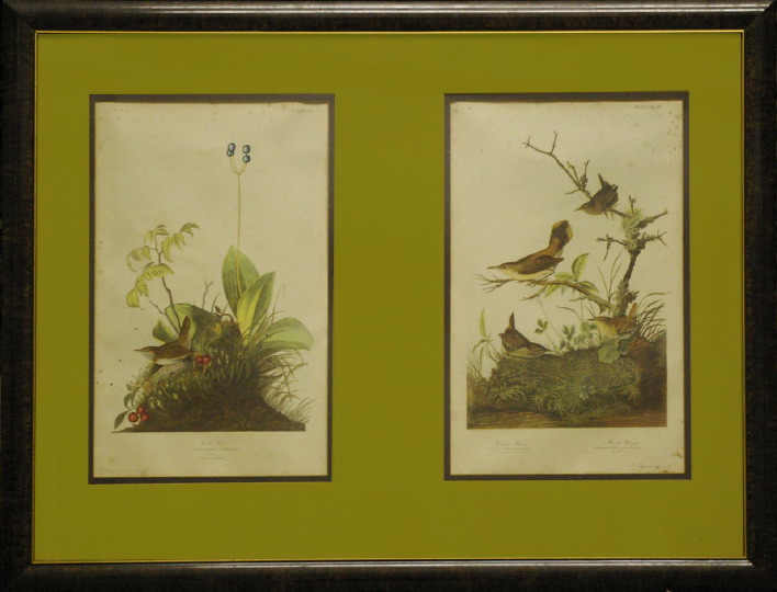 Appraisal: After John James Audubon American - Wood Wren Plate and