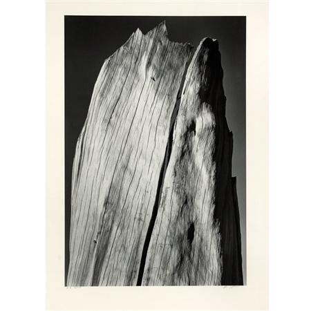 Appraisal: ADAMS ANSEL - Portfolio V White Stump Sierra Nevada California