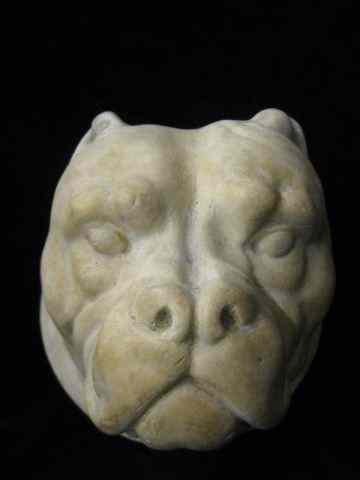 Appraisal: Plaster Bust of a Dog ''