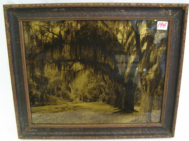 Appraisal: R H LESESNE OROTONE titled Arch Way of Oaks Daytona