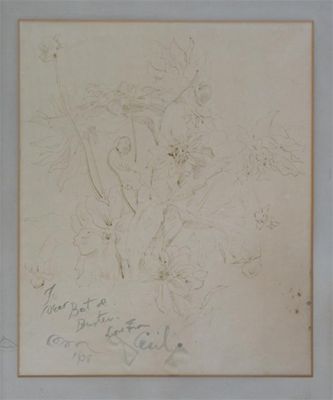 Appraisal: Cecil Beaton - Study of flowers Signed and inscribed To