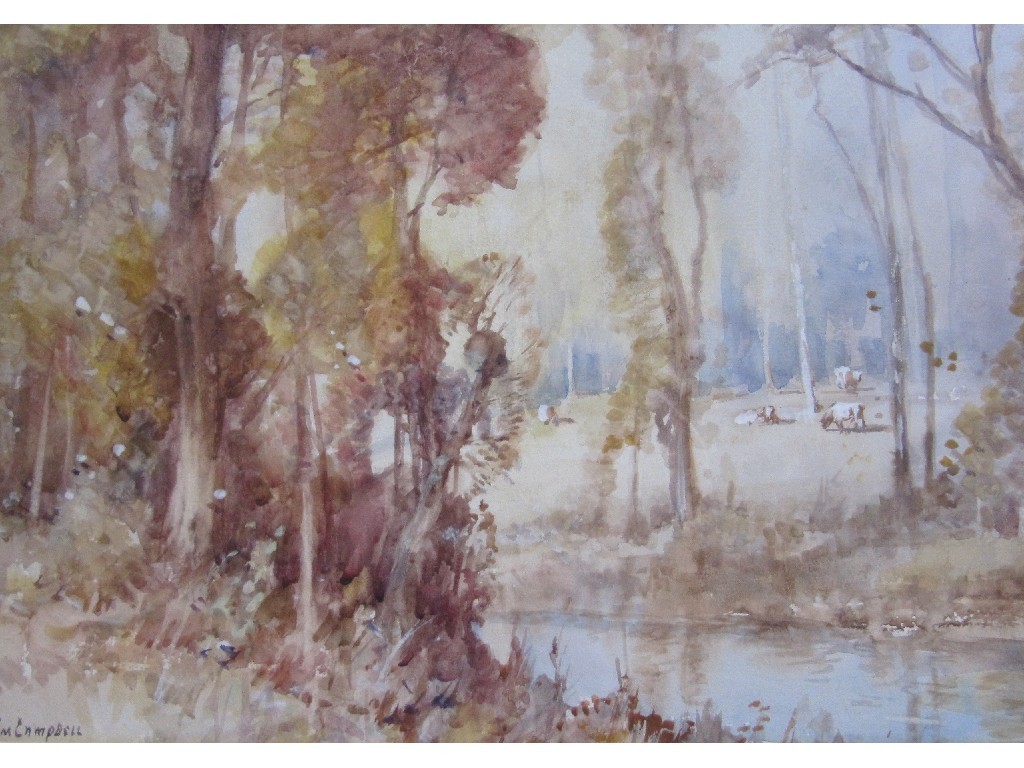 Appraisal: TOM CAMPBELL - WOODLAND SCENE Watercolour signed x x cm