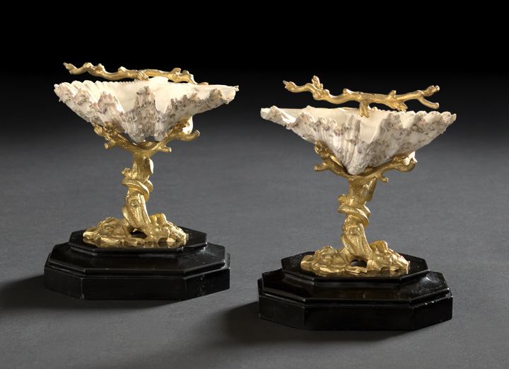 Appraisal: Elegant Pair of Napoleon III Seashell Garnitures third quarter th