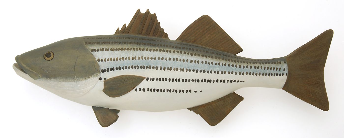 Appraisal: PAINTED CARVED WOOD STRIPED BASS By Jim Parker of Sandwich