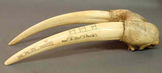 Appraisal: Walrus tusk scrimshaw with Eskimos sled with sled dogs and