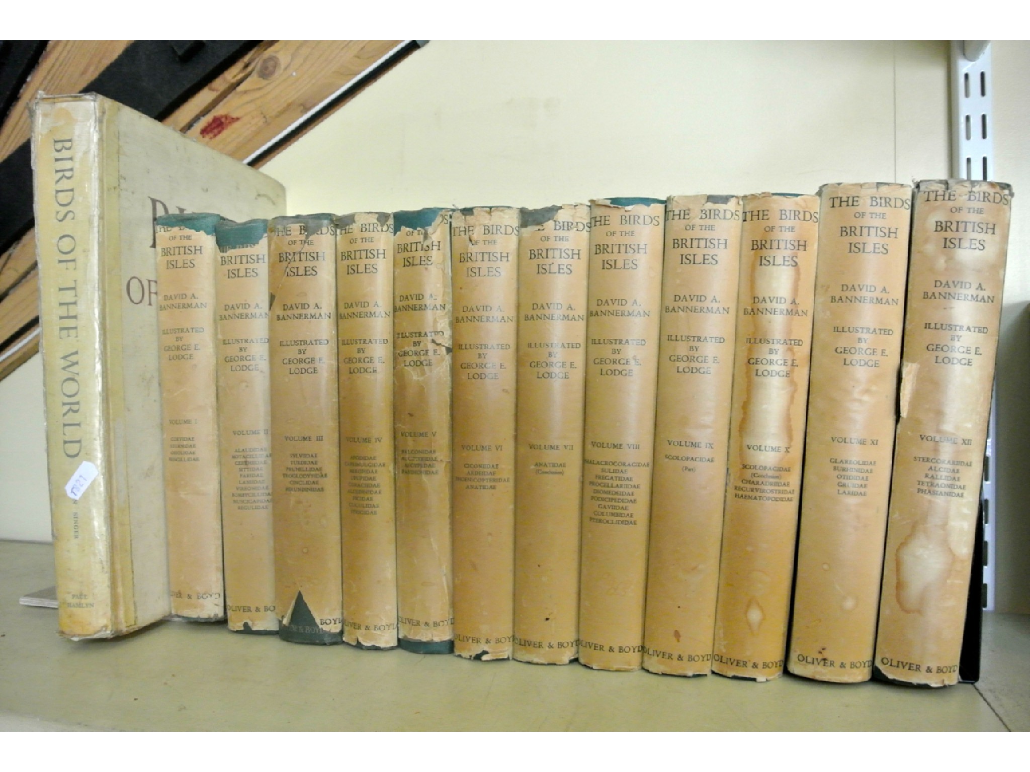 Appraisal: Twelve volumes of The Birds of the British Isles by