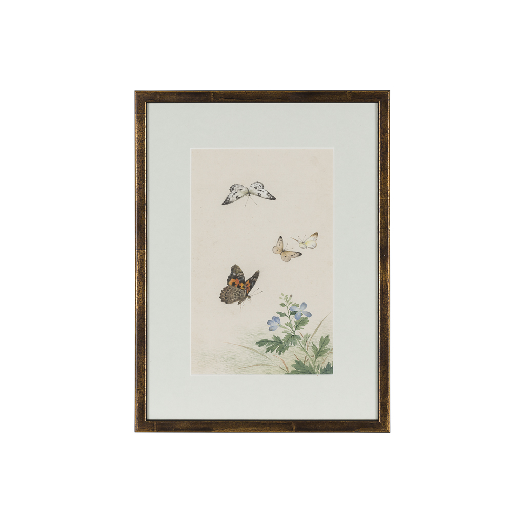 Appraisal: SET OF TEN CHINESE SCHOOL STUDIES OF BUTTERFLIES AND FLOWERS