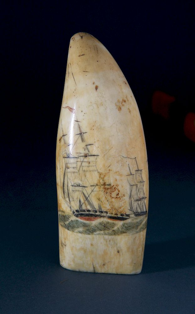 Appraisal: Whaleman Scrimshaw and Polychrome Whale Tooth circa Exclusive on Bidsquare