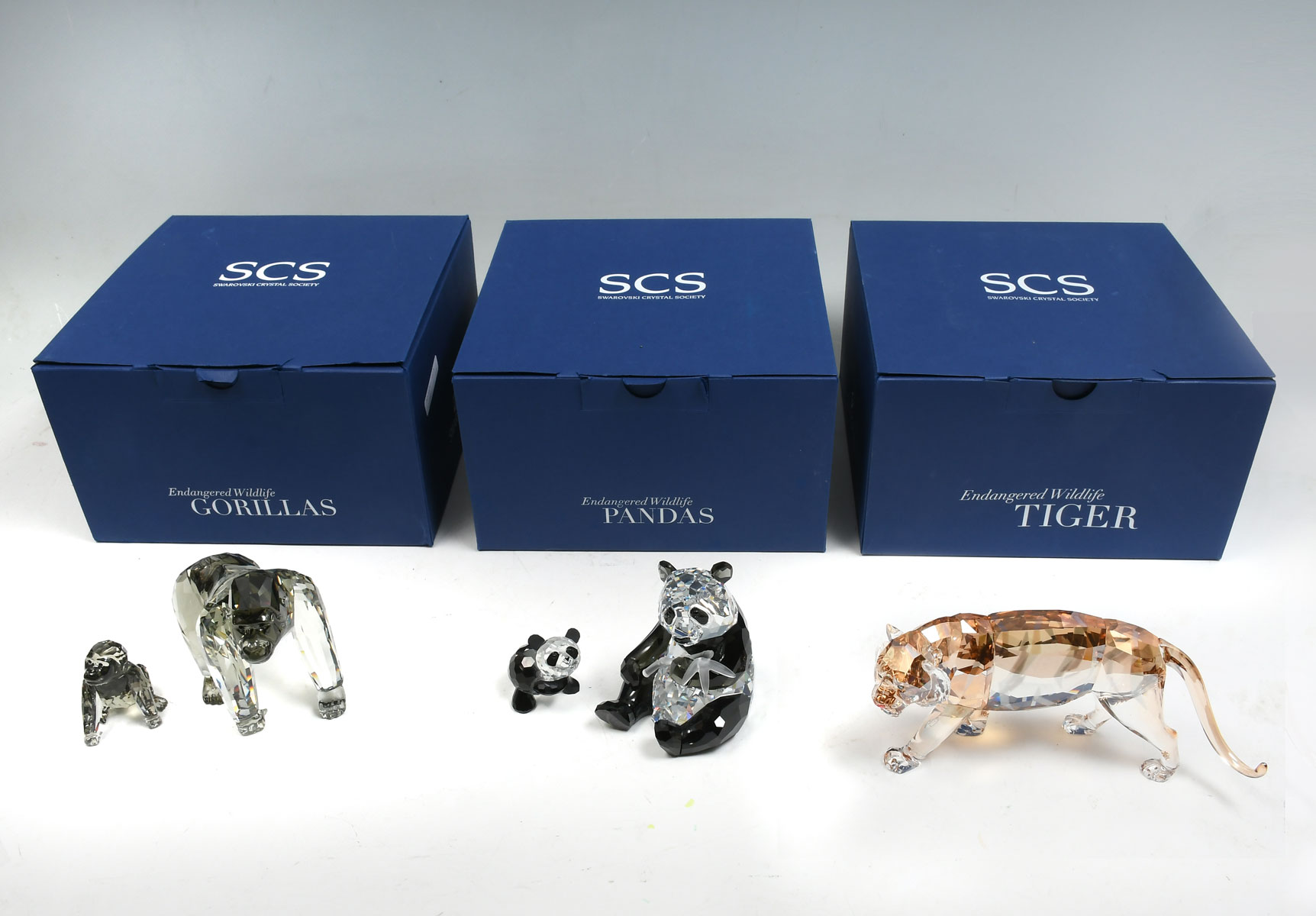 Appraisal: SWAROVSKI SCS ENDANGERED - TIGER PANDAS GORILLAS Hard to find