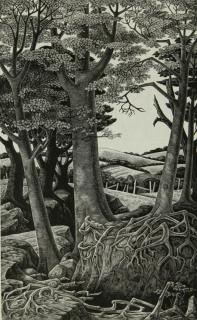 Appraisal: MONICA POOLE - SIGNED WOOD ENGRAVING Titled 'Gulley' and edition