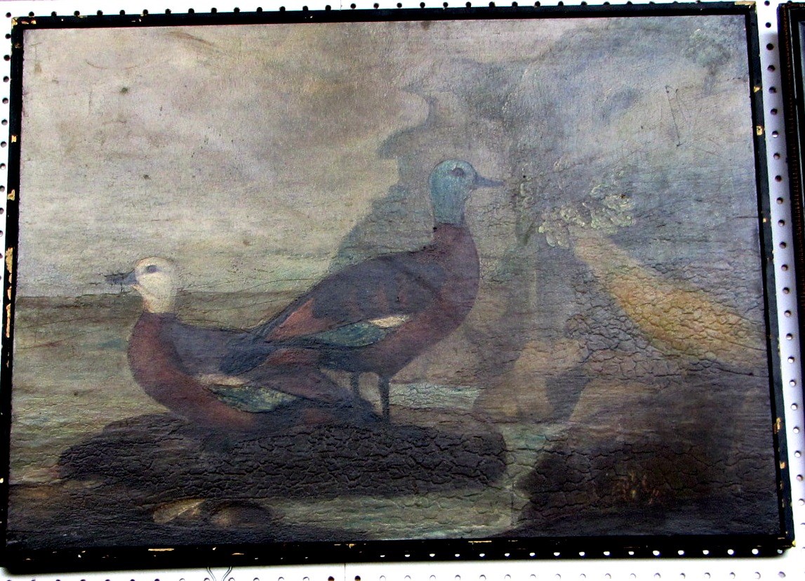 Appraisal: English Provincial School th century Widgeon oil on panel cm