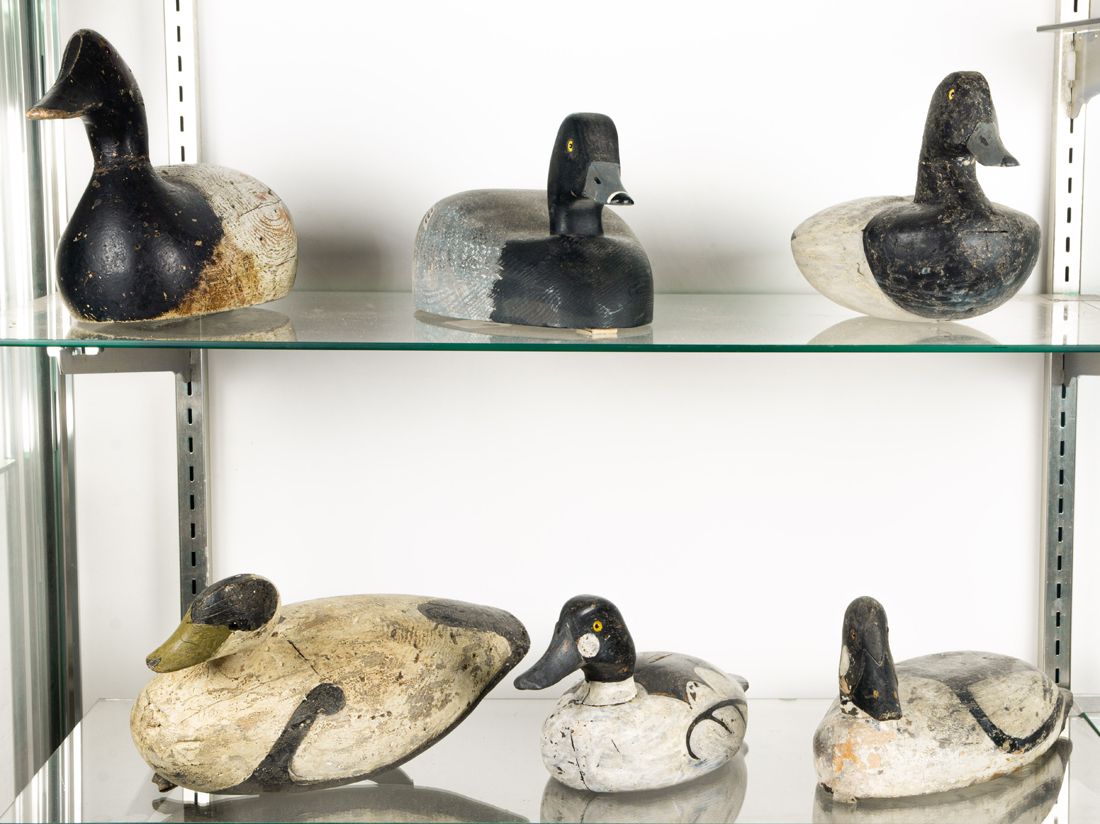 Appraisal: LOT OF DUCK DECOYS THE LARGEST AN EVANS STAMPED DUCK