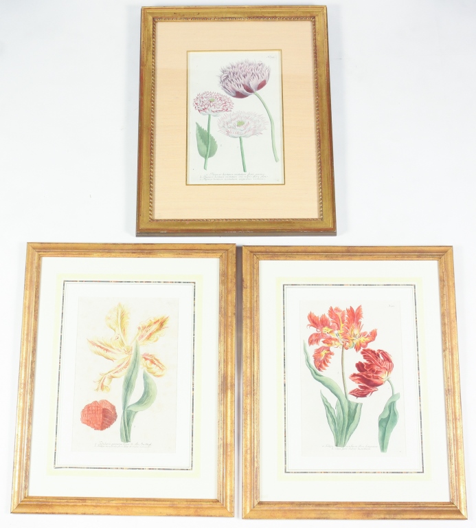 Appraisal: THREE JOHANN W WEINMAN BOTANICAL PRINTS - Hand-colored engravings on