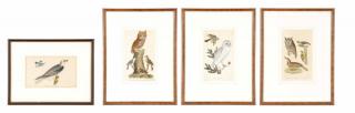 Appraisal: Collection of Prints from American Ornithology Alexander Wilson American -