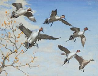 Appraisal: Richard E Bishop - Pintails in Flight oil on canvasboard