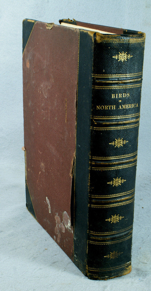 Appraisal: Studer Jacob Henry Studer's Popular Ornithology The Birds of North