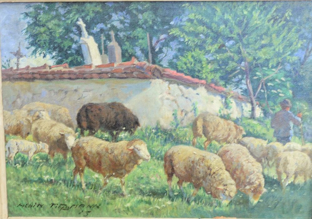 Appraisal: Albin Tippmann - oil on canvas grazing sheep landscape signed