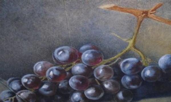 Appraisal: English school Still life of black grapes Watercolour cm x