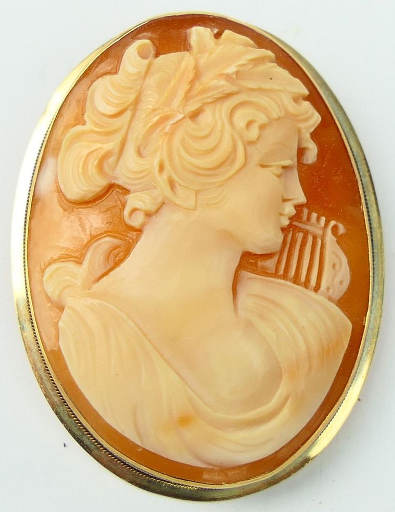 Appraisal: LARGE KT Y GOLD SHELL CAMEO Measures long total weight