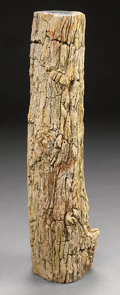 Appraisal: Petrified Wood Stump Indeterminate species Miocene Indonesia A decorative petrified