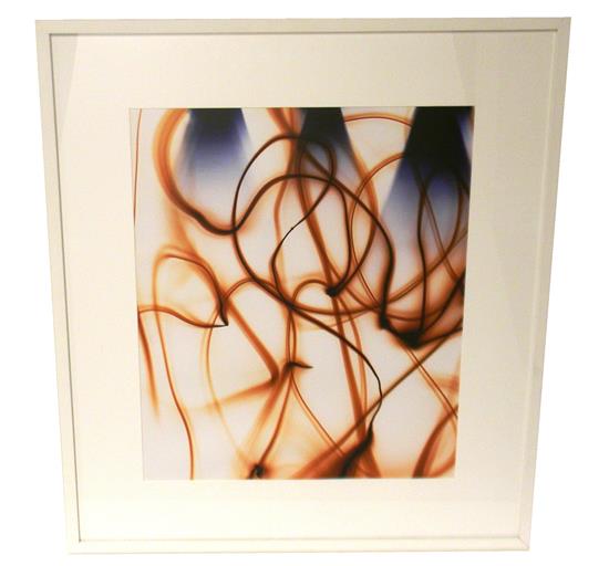 Appraisal: Ellen Carey Connecticut th C Pen Light color photogram umber