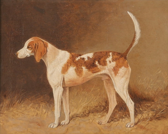 Appraisal: ENGLISH SCHOOL th century PORTRAIT OF A HOUND oil on