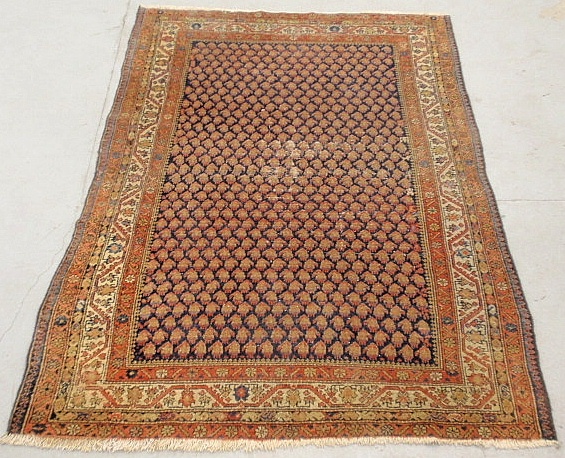 Appraisal: - Serabend oriental center hall carpet x -