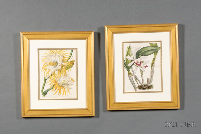 Appraisal: Set of Six Belgian Hand Colored Botanical Lithographs mid th