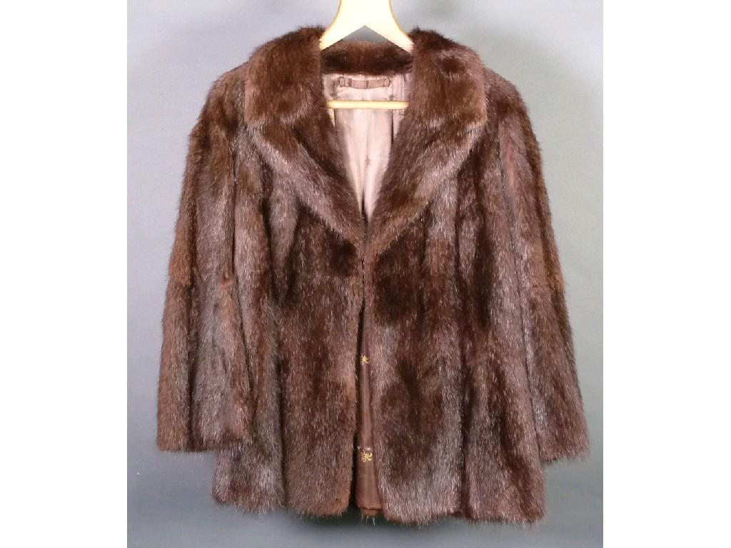 Appraisal: DARK BROWN MINK DYED MUSQUASH JACKET with hook fastening double