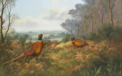 Appraisal: W Reeve Contemporary Pheasant in a Landscape oil on canvas